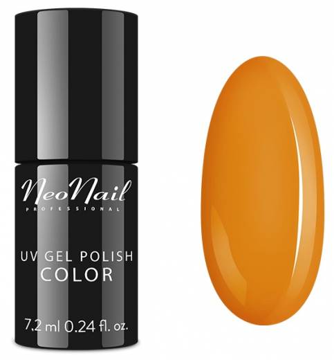 6678-7 STAY CHIC, 7,2 ML 1