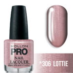 NL-306-LOTTIE
