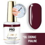 66_COGNAC-PRALINE