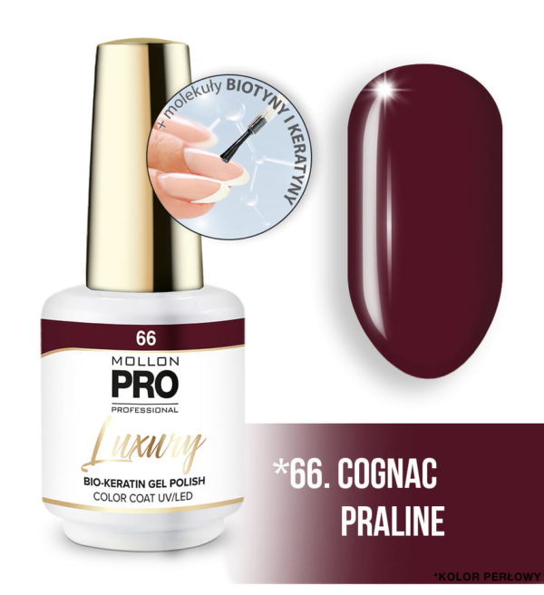 66_COGNAC-PRALINE