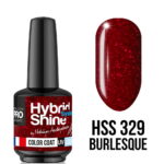 HSS_329