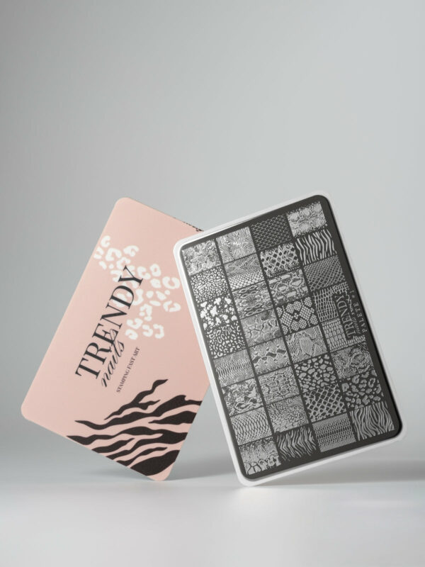 Stamping_unghie_Nail_Art_piastra_n_1_-_Tecnica_per_design_veloci_con_motivi_precisi_e_complessi_Trendy_Nails
