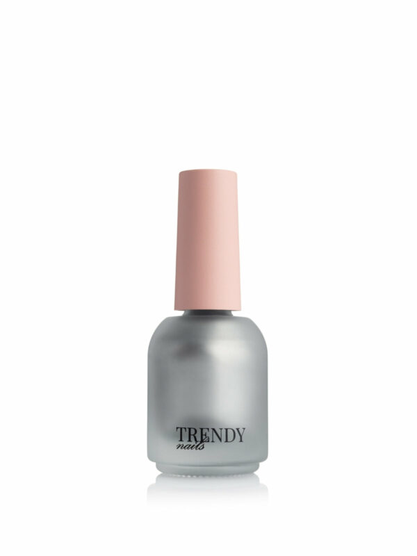 StampingSmaltopigmentatoArgentoadasciugaturarapidapernailartedecorazioniunghiediprecisioneTrendyNails